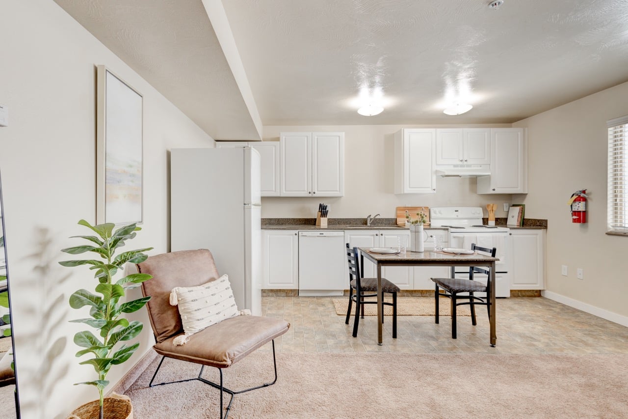 Apartment kitchen and living room