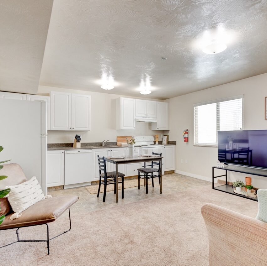 Apartment kitchen and living room