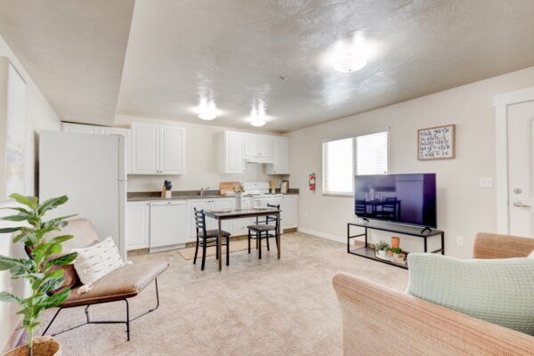 Apartment kitchen and living room