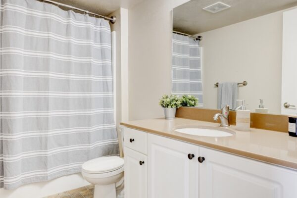 Apartment bathroom with vanity & shower