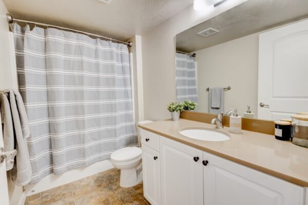 Apartment bathroom with vanity & shower