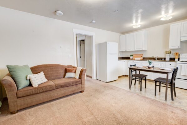 Apartment kitchen and living room