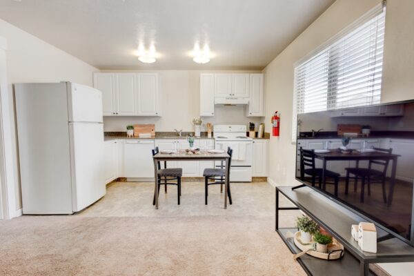 Apartment kitchen and living room