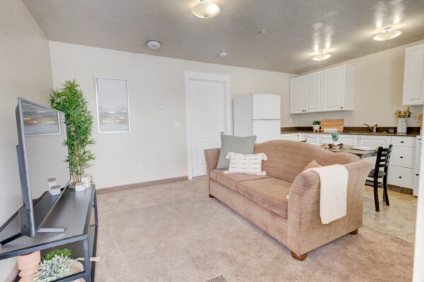 Apartment kitchen and living room